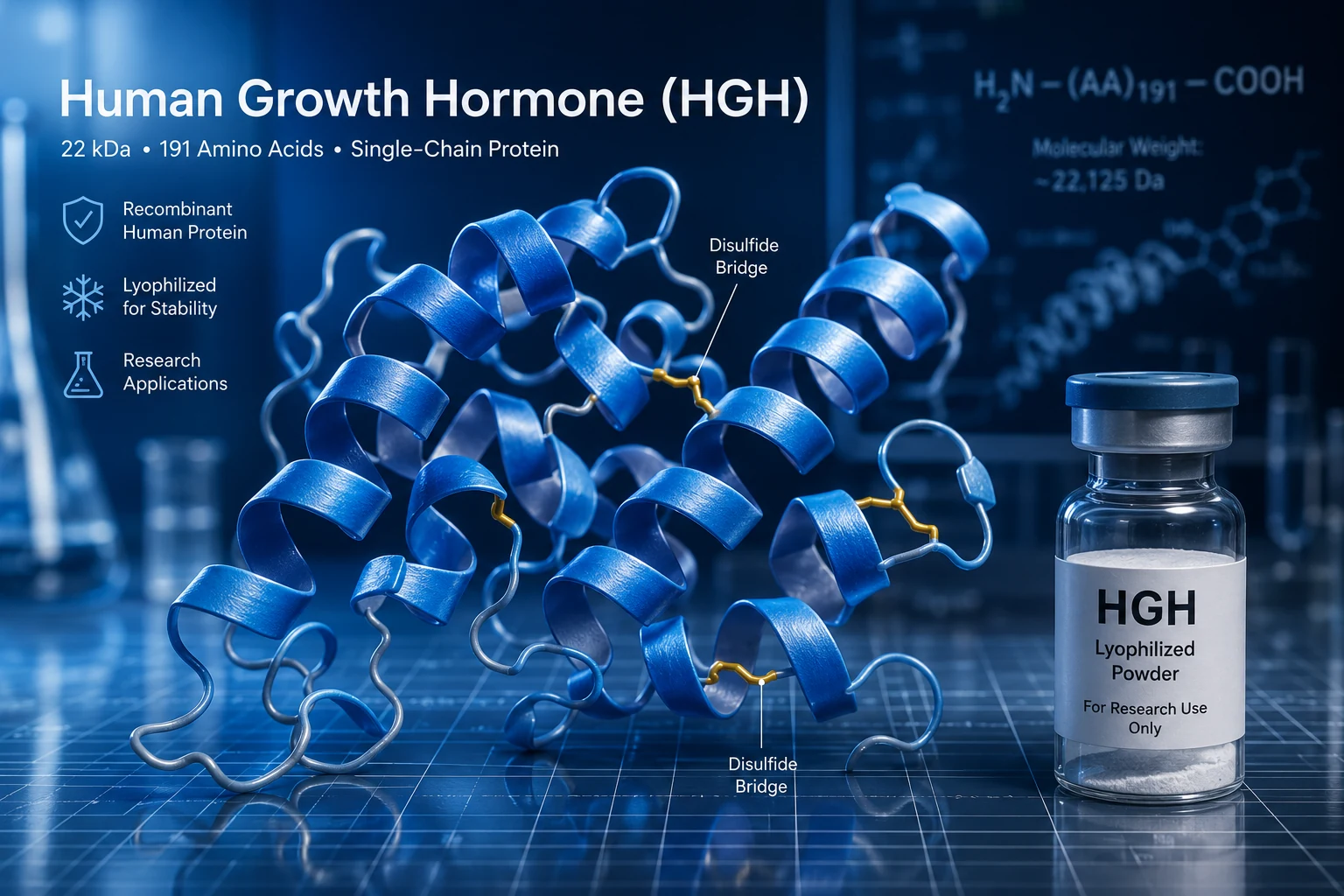 Human growth hormone ribbon structure with highlighted disulfide bridges beside a lyophilized research vial